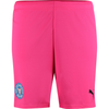 Trikothose 26/27 Torwart KIDS